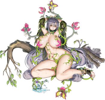 1girl @_@ absurdly_long_hair armpits arms_up barefoot blush bodypaint branch breasts breasts_apart breasts_squeezed_together broken_bottle cameltoe carnivorous_plant circe_(last_origin) collar collarbone convenient_censoring curvy defeat detached_collar feet flower flower_bikini flower_censor full_body game_cg green_collar green_eyes green_footwear green_nails grey_hair hair_between_eyes highres huge_breasts injury last_origin leaf lips long_hair looking_at_viewer machinery nail_polish navel nude official_alternate_costume official_art open_mouth pink_flower plant potion purple_flower red_flower restrained sitting skindentation solo spill spilling suggestive_fluid sweat tachi-e taesi thick_thighs thighs toeless_footwear transparent_background very_long_hair vines wide_hips yokozuwari