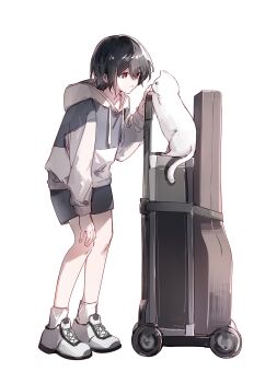 1girl bang_dream! bang_dream!_it&#039;s_mygo!!!!! black_shorts cat drawstring grey_hair grey_hoodie guitar_case hibioes highres hood hoodie instrument_case kaname_raana long_sleeves raana_the_cat shoes short_hair shorts socks solo takamatsu_tomori two-tone_hoodie white_cat white_hoodie white_shoes white_socks