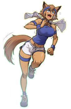 1girl animal_ears armband blue_headband blue_shoes blue_tank_top blush breasts brown_hair commentary dog_ears dog_girl dog_tail dolphin_shorts english_commentary exercising fangs full_body furry furry_female green_eyes headband jogging kawa-v large_breasts looking_afar midriff monster_musume_no_iru_nichijou navel open_mouth polt running shoes short_hair shorts simple_background smile sneakers solo tail tank_top thigh_strap towel towel_around_neck white_background white_shorts wristband