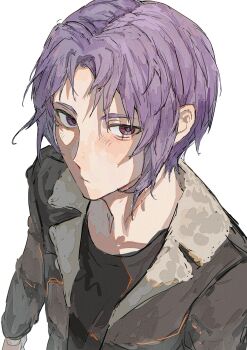 Rule 34 | black shirt, blue lock, brown jacket, commentary request, expressionless, from above, highres, jacket, koumimi, light blush, long sleeves, looking up, male focus, mikage reo, open clothes, open jacket, purple eyes, purple hair, shirt, short hair, solo, solo focus, white background