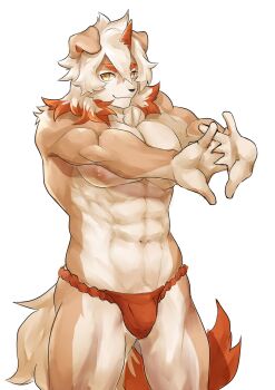 1boy abs arknights bara closed_mouth colored_tips commentary english_commentary furry furry_male highres horns hung_(arknights) komainu_boy komainu_ears komainu_tail looking_at_viewer male_focus multicolored_hair muscular muscular_male navel nipples orange_fundoshi pectorals r_riku2424 single_horn smile stretching topless_male white_background