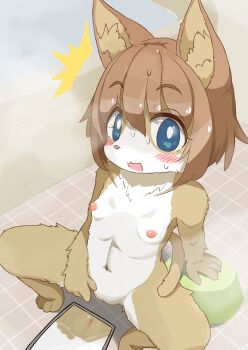 1girl animal_ear_fluff animal_ears bath_stool bathroom bathtub blue_eyes blush body_exploration bright_pupils brown_fur brown_hair chest_tuft cleft_of_venus completely_nude feet female_focus flat_chest furry furry_female indoors kiori_nezumi loli looking_at_viewer mirror navel nipples nude open_mouth original pussy reflection short_hair solo spread_legs squatting steam stool surprised tail tile_floor tiles toes two-tone_fur uncensored water white_fur white_pupils