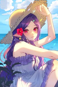 1girl absurdres alternate_costume blush closed_mouth cloud commentary_request dress fingernails flower hair_flower hair_ornament hat highres lips long_hair neosilleosil nintendo ocean outdoors pink_lips pointy_ears princess_hilda purple_dress purple_hair red_eyes red_flower sitting sky sleeveless sleeveless_dress solo straw_hat sun_hat the_legend_of_zelda the_legend_of_zelda:_a_link_between_worlds twitter_username two-tone_dress water white_dress