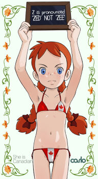1girl anne_of_green_gables anne_shirley bikini canada carlo_fujimura chalkboard flag_print flat_chest leaf maple_leaf parody slate swimsuit world_masterpiece_theater