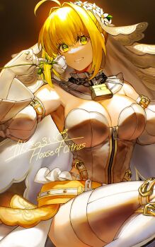 1girl ahoge belt blonde_hair blush bodysuit breasts bridal_veil cleavage detached_sleeves fate/extra fate/extra_ccc fate_(series) flower flower_wreath full-length_zipper gloves green_eyes hair_intakes head_wreath highres holding holding_flower kankitsurui_(house_of_citrus) large_breasts leotard light_particles lock looking_at_viewer loose_belt nero_claudius_(bride)_(fate) nero_claudius_(fate) padlock padlocked_collar shadow signature smile solo thighhighs thighs veil vignetting white_flower white_gloves white_leotard white_sleeves white_thighhighs zipper zipper_pull_tab