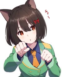Rule 34 | 1girl, animal ear fluff, animal ears, blue shirt, bow, brown eyes, brown hair, cat ears, cat girl, clenched hand, green shirt, hair bow, hibike! euphonium, highres, hisaishi kanade, hyoe (hachiechi), long sleeves, looking at viewer, medium hair, necktie, open mouth, orange necktie, paw pose, red bow, shirt, simple background, solo, translation request, upper body, white background