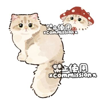 Rule 34 | animal, animal focus, bow, bowtie, cat, commission, hat, looking at viewer, multiple views, mushroom, mushroom hat, no humans, original, red bow, red bowtie, red hat, simple background, square, watermark, white background, xiao bo kuai kuai