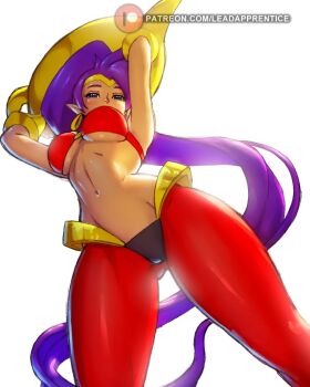 Rule 34 | 1girl, bra, breasts, dark-skinned female, dark skin, earrings, from below, genie lamp, highres, jewelry, large breasts, leadapprentice, long hair, looking at viewer, pants, pointy ears, purple hair, shantae, shantae (series), underwear, very long hair, white background