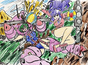 Rule 34 | 2girls, absurdres, animal costume, chinese clothes, cho-hakkaimon, costume, digimon, digimon (creature), highres, igomaru, mask, multiple girls, open mouth, pig costume, ranma 1/2, shampoo (ranma 1/2), swimsuit