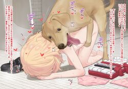 1girl barefoot bestiality black_shoes blonde_hair bow bow_panties bra commentary_request completely_nude dog doggystyle folded_clothes heart hetero idolmaster idolmaster_cinderella_girls indoors loli mary_janes neku_oneneko nude paid_reward_available panties pink_bra pink_panties sakurai_momoka sex sex_from_behind shoes short_hair solo sound_effects tile_floor tile_wall tiles toilet translated trembling underwear unworn_bra unworn_clothes unworn_panties unworn_shoes urinal variant_set