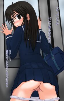 Rule 34 | 1girl, against glass, against wall, bag, blush, brown eyes, brown hair, chikan, cleft of venus, closed mouth, hanamaru shuzo, long hair, molestation, original, panties, panty pull, pleated skirt, pussy, school bag, school uniform, skirt, train, train interior, translated, uncensored, underwear, white panties