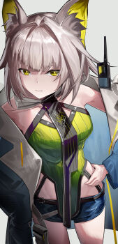 1girl absurdres animal_ear_fluff animal_ears aoi_wakashi_chiyo arknights bare_shoulders blue_coat blue_shorts breasts cat_ears cat_girl closed_mouth coat colored_inner_animal_ears commentary_request cowboy_shot denim denim_shorts dot_nose dress expressionless foreshortening green_dress green_eyes grey_background grey_hair groin hair_intakes hand_on_own_hip highres infection_monitor_(arknights) kal&#039;tsit_(arknights) kal&#039;tsit_(remnant)_(arknights) long_sleeves looking_at_viewer medium_breasts official_alternate_costume open_clothes open_coat pouch short_hair short_shorts shorts simple_background solo standing walkie-talkie