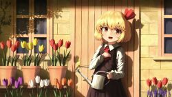 Rule 34 | 1girl, :d, black dress, blonde hair, blush, collared shirt, commentary, cowboy shot, door, door handle, dress, flower, hair between eyes, hair ribbon, hand on own chest, hand up, highres, holding, holding watering can, long sleeves, looking at viewer, neckerchief, open mouth, outdoors, plant, potted plant, red eyes, red neckerchief, red ribbon, ribbon, rumia, shadow, shirt, short hair, smile, solo, touhou, tulip, watering can, white shirt, window, yoirone
