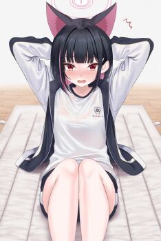 1girl absurdres animal_ears arms_behind_head arms_up black_hair black_jacket black_shorts blue_archive blush cat_ears cat_girl colored_inner_hair commentary_request commission exercising feet_out_of_frame gym_shirt gym_uniform hair_ornament hairclip halo highres jacket kazusa_(blue_archive) knees_up looking_at_viewer medium_hair multicolored_hair multicolored_jacket open_clothes open_jacket open_mouth pink_hair pink_halo rama_(yu-light8) red_eyes shirt shorts sit-up skeb_commission solo sweat two-tone_jacket wet wet_clothes wet_shirt white_jacket