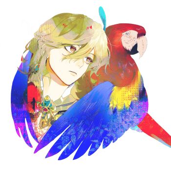 animal beak bird blonde_hair blue_feathers commentary earrings feather_hair_ornament feathers gem genshin_impact green_gemstone hair_between_eyes hair_ornament highres jewelry kaveh_(genshin_impact) long_hair macaw male_focus parrot red_eyes red_feathers red_gemstone scarlet_macaw spriiiiiiing symbol-only_commentary white_background