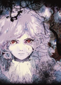 1boy ascot cracked_skin cross-shaped_pupils edmond_dantes_(fate) fate/grand_order fate_(series) grey_hair highres looking_at_viewer male_focus portrait red_eyes solo syamu18575 symbol-shaped_pupils the_count_of_monte_cristo_(fate) white_ascot
