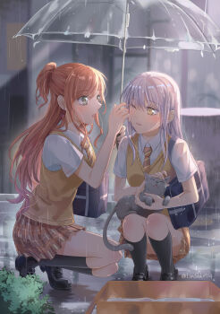 Rule 34 | 2girls, absurdres, animal, bag, bang dream!, black shoes, black socks, blue bag, box, brown hair, brown necktie, brown skirt, brown sweater vest, cardboard box, cat, collared shirt, commentary request, diagonal-striped clothes, diagonal-striped necktie, dress shirt, earrings, green eyes, grey hair, half updo, haneoka school uniform, highres, holding, holding animal, holding cat, holding umbrella, imai lisa, jewelry, kneehighs, loafers, long hair, minato yukina, multiple girls, necktie, one eye closed, open mouth, plaid clothes, plaid skirt, pleated skirt, rain, school bag, school uniform, shih lion, shirt, shoes, shoulder bag, sidelocks, skirt, socks, squatting, striped clothes, sweater vest, transparent, transparent umbrella, tucking hair, umbrella, white shirt, yellow eyes