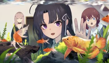 Rule 34 | 3girls, against glass, awa subaru, black choker, black hair, blue eyes, brown hair, choker, commentary, fish, fish tank, girls band cry, goldfish, grey hair, hair ribbon, hand on glass, highres, iseri nina, kawaragi momoka, long hair, looking at viewer, multicolored hair, multiple girls, open mouth, parted bangs, purple eyes, ribbon, roots (hair), shiliuye feiyu, symbol-only commentary, white ribbon