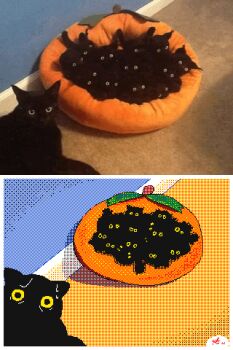animal_focus animated animated_gif baby_animal black_cat border cat commentary english_commentary flipnote_studio_(medium) keke_(kokorokeke) kitten looping_animation lowres no_humans original photo_inset reference_inset signature too_many too_many_cats white_border