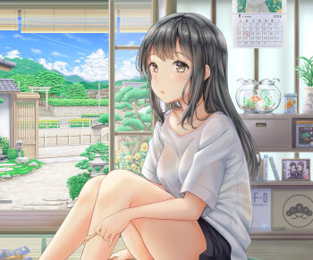 1girl absurdres aquarium black_shorts blush breasts brown_eyes calendar_(object) cloud cloudy_sky commentary_request garden highres ice_cream_bar medium_breasts on_floor open_mouth original road scenery see-through_clothes see-through_shirt shirt shorts sitting sky solo street summer sweatdrop tatami thighs torii uki_(kiw_kiu) white_shirt