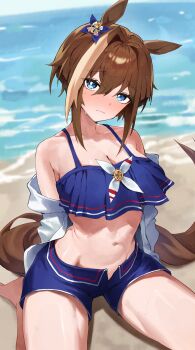 1girl absurdres animal_ears bare_shoulders beach bikini bikini_shorts blue_bikini blue_eyes blue_swim_trunks blush breasts brown_hair cheval_grand_(summer_calm_navy_drop)_(umamusume) cheval_grand_(umamusume) cleavage closed_mouth collarbone commentary_request hair_between_eyes highres horse_ears horse_girl horse_tail jacket large_breasts leste_(humansequencer) looking_at_viewer multicolored_hair navel ocean official_alternate_costume official_alternate_hairstyle outdoors seiza shorts sitting solo streaked_hair sweat swimsuit tail umamusume water white_hair white_jacket white_streaks