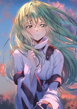 1girl absurdres blush breasts budgiepon c.c. code_geass crying crying_with_eyes_open female_focus green_hair highres long_hair looking_at_viewer medium_breasts sky smile teardrop tears yellow_eyes