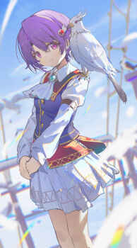 Rule 34 | 1girl, absurdres, animal, animal on shoulder, ascot, beak, bird, bird on shoulder, blurry, blurry background, blurry foreground, buttons, closed mouth, commentary request, coria, eiyuu densetsu, hair between eyes, hawk, highres, kloe rinz, looking at viewer, outdoors, own hands together, pink eyes, purple hair, red eyes, short hair, sieg (eiyuu densetsu), skirt, smile, sora no kiseki, standing, white ascot, white skirt