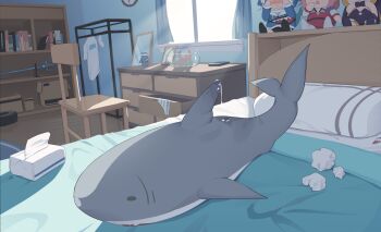 after_masturbation bed book bookshelf box cardboard_box chair character_doll clock clothes commentary crumpled_paper cup curtains day doll drawer english_commentary fishbowl gawr_gura gawr_gura_(1st_costume) hair_ornament highres hololive hololive_english indoors mirror ninomae_ina&#039;nis ninomae_ina&#039;nis_(1st_costume) no_humans open_drawer panties picture_frame pillow polearm pussy_juice pussy_juice_stain pussy_juice_trail robotic_vacuum_cleaner rug shark_hair_ornament shirt socks still_life striped_clothes striped_panties stuffed_animal stuffed_shark stuffed_toy sunlight takanashi_kiara tenroy tissue_box trident underwear unworn_hair_ornament virtual_youtuber wall_clock weapon white_shirt white_socks window wooden_chair wooden_floor