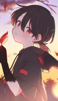 1boy black_hair blush child cloud dated dot_nose falling_leaves far_tarooo hair_between_eyes highres hood hood_down hoodie leaf looking_at_viewer male_focus open_mouth orange_sky original ponytail shiro_(far_tarooo) short_hair short_ponytail short_sleeves sideways_glance signature sky solo