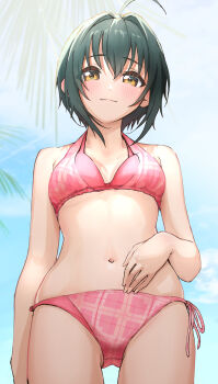 1girl absurdres ahoge bare_arms bikini black_hair blush breasts from_below hair_intakes hand_on_own_stomach highres idolmaster idolmaster_cinderella_girls kaiso_(kaisooekaki) kohinata_miho light_smile looking_at_viewer medium_breasts navel outdoors palm_leaf pink_bikini short_hair side-tie_bikini_bottom solo stomach swimsuit thighs yellow_eyes