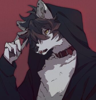 1boy black_jacket body_fur brown_hair claws collar commentary_request ear_piercing fuji_166 furry furry_male grey_fur hand_up highres hood hood_up jacket jewelry looking_to_the_side male_focus multiple_rings open_clothes open_jacket original piercing red_background ring short_hair slit_pupils solo striped_background upper_body wolf_boy yellow_eyes