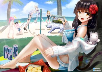Rule 34 | 1other, 5girls, aikawa megumi, asakura karen (heaven burns red), beach volleyball, black hair, byakko (heaven burns red), can, chips (food), commentary request, eririntrap, flower, food, hair flower, hair ornament, heaven burns red, izumi yuki (heaven burns red), kunimi tama, looking at viewer, minase ichigo, minase sumomo, multiple girls, potato chips, swimsuit, volleyball, volleyball net, yellow eyes