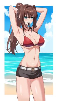 1girl aozaki_aoko armpits arms_behind_head beach bikini black_shorts blue_eyes blue_sky breasts brown_eyes cleavage cloud commentary_request day feet_out_of_frame hair_intakes highres horizon large_breasts mahou_tsukai_no_yoru micro_shorts mouth_hold ocean outdoors ponytail red_bikini short_shorts shorts sky solo swimsuit weilaizuigao703