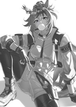 1girl abs absurdres animal_ears arm_support blowing_bubble_gum bubble_gum_fellow_(umamusume) chewing_gum commentary cropped_jacket greyscale highres horse_ears horse_girl jacket looking_at_viewer midriff monochrome muscular muscular_female navel open_clothes open_jacket senchan_7 sitting solo umamusume v white_background