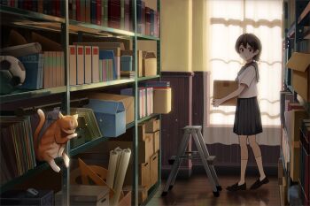 1girl backlighting ball black_eyes black_hair black_sailor_collar black_shoes black_skirt blue_neckerchief book box cardboard_box cat commentary_request computer computer_mouse curtains folder highres holding holding_box indoors kneehighs ladder licking_paw licking_self loafers looking_at_animal neckerchief open_mouth orange_cat original pleated_skirt sailor_collar school_uniform serafuku shelf shirt shoes short_hair short_sleeves skirt soccer_ball socks solanoko solo standing stepladder storage_room surprised white_shirt white_socks wide_shot window