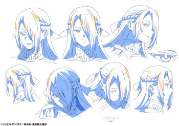 1girl azuma_fubuki braid collar commentary_request from_side glaring hair_over_one_eye hair_ribbon half_updo highres lips long_bangs long_hair mato_seihei_no_slave monochrome nakano_keiya open_mouth profile reference_sheet ribbon smile