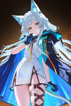 1girl absurdres animal_ear_fluff animal_ears arknights black_cloak black_gloves blue_cloak blue_gloves cat_ears cat_girl cat_tail cloak closed_mouth commentary covered_navel dress earpiece feet_out_of_frame gloves green_eyes hair_between_eyes hair_intakes highres hood hooded_cloak long_hair looking_at_viewer pelvic_curtain revision rosmontis_(arknights) short_dress skindentation solo standing tail thighs two-tone_cloak two-tone_gloves white_dress white_hair yueyueyue_yao