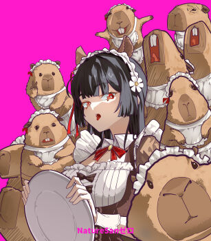 1girl absurdres animal_ears artist_name black_hair breasts capybara chisa_(wuthering_waves) commentary english_commentary fake_animal_ears highres holding holding_plate long_hair looking_at_viewer maid_headdress medium_breasts namipon_(wuthering_waves) official_alternate_costume open_mouth pink_background plate red_eyes ryeon_(naturesan) tongue tongue_out wuthering_waves