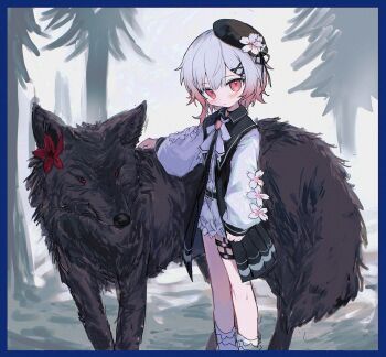 1girl animal animalization belt beret black_hat blue_border blush border closed_mouth flower gradient_hair grey_hair hair_between_eyes hat hat_flower highres jacket long_hair long_sleeves looking_at_viewer mahou_shoujo_no_majo_saiban multicolored_hair nikaido_hiro open_clothes open_jacket pink_eyes pink_hair red_eyes red_flower reitoubeef sakuraba_ema shirt shorts socks standing thigh_strap tree white_shirt white_shorts white_socks wolf