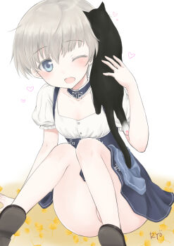 1girl apron black_cat blue_apron blue_eyes cat dirndl german_clothes grey_hair kantai_collection official_alternate_costume ozaki_mirai panties pantyshot shirt short_hair simple_background sitting underbust underwear unsinkable_sam white_background white_panties white_shirt z1_leberecht_maass_(kancolle) z1_leberecht_maass_(oktoberfest)_(kancolle)