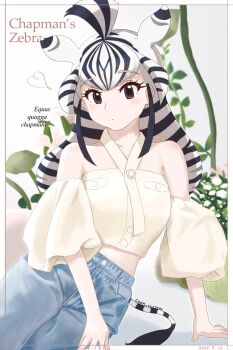 1girl animal_ears bare_shoulders black_eyes black_hair blush casual chapman&#039;s_zebra_(kemono_friends) cooh_system denim detached_sleeves extra_ears hair_between_eyes highres jeans kemono_friends long_hair midriff_peek multicolored_hair official_alternate_costume pants shirt sidelocks solo two-tone_hair white_hair white_shirt zebra_ears zebra_girl zebra_tail