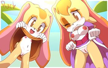 2girls brown_eyes clothes_lift cream_the_rabbit highres loli multiple_girls pussy skirt skirt_lift sonic_(series) vanilla_the_rabbit
