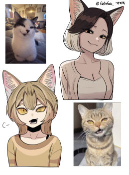 Rule 34 | 2girls, :3, absurdres, animal ear fluff, animal ears, arms at sides, black cat, black eyes, black hair, bob cut, bra strap, breasts, brown cardigan, brown hair, brown shirt, cardigan, cat, cat ears, cat girl, cleavage, closed mouth, collarbone, colored sclera, creature and personification, cropped torso, eyelashes, fang, gegegekman, grey cat, hair between eyes, hair intakes, head tilt, highres, korean text, large breasts, long hair, looking at viewer, mole, mole under eye, multiple girls, open cardigan, open clothes, open mouth, original, personification, photo-referenced, photo inset, puff of air, raised eyebrow, raised eyebrows, reference inset, shirt, short hair, sigh, signature, slit pupils, smile, swept bangs, tabby cat, tuxedo cat, twitter username, white cat, white hair, white shirt, yellow eyes, yellow sclera