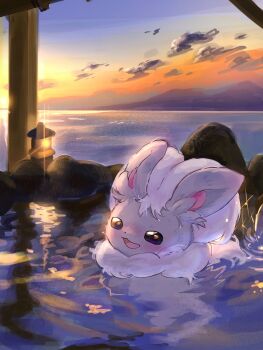 blush cloud gen_5_pokemon grey_fur highres minccino namekuj1hey nintendo no_humans ocean onsen open_mouth orange_sky pokemon pokemon_(creature) pokemon_focus sky smile stone_lantern sunset water