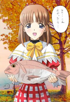 Rule 34 | 1girl, animal, autumn, autumn leaves, bench, blue eyes, bow, bowtie, braid, brown hair, capelet, commentary request, fish, half up braid, highres, holding, holding animal, holding fish, incoming gift, juliet sleeves, leaf, long sleeves, looking at viewer, medium hair, mitsumete knight, nori (norimakigumo), open mouth, outdoors, park bench, puffy sleeves, red shirt, red skirt, sea bream, shirt, signature, skirt, smile, solo, sophia robelingue, speech bubble, translated, tree, upper body, white capelet, yellow bow, yellow bowtie