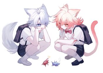 2boys aged_down animal_ears antenna_hair arm_tattoo beetle black_shoes black_shorts blonde_hair blue_eyes bow braid bug cat_boy cat_ears cat_tail dog_boy dog_ears dog_tail gradient_hair hair_between_eyes hashtag-only_commentary highres honkai:_star_rail honkai_(series) insect male_focus medium_hair multicolored_hair multiple_boys mydei_(honkai:_star_rail) parted_bangs phainon_(honkai:_star_rail) red_bow red_hair red_tattoo shirt shoes short_hair shorts side_braid simple_background socks tail tattoo tydjd071 white_background white_hair white_shirt white_shoes white_socks yellow_eyes