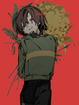 1other arms_behind_back black_pants brown_eyes chara_(undertale) commentary flower green_sweater hair_between_eyes half-closed_eyes highres holding holding_flower mei_(tuboishi) other_focus pants red_background simple_background smirk solo sweater symbol-only_commentary teeth twitter_username undertale utdr_(toby_fox) yellow_flower