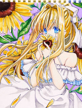 Rule 34 | 1girl, absurdres, air (visual novel), alternate costume, bare shoulders, blonde hair, blue eyes, commentary request, covering own mouth, cowboy shot, dress, eyes visible through hair, falling petals, floating hair, flower, hair between eyes, hair intakes, hair ribbon, hands up, highres, holding, holding flower, kamio misuzu, long hair, looking at viewer, off-shoulder dress, off shoulder, petals, ponytail, purple background, ribbon, ririi (ai-my talikng), sidelocks, simple background, solo, sundress, sunflower, tareme, traditional media, twitter username, very long hair, white ribbon