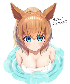1girl absurdres animal_ears bare_shoulders blue_eyes blush breasts brown_hair cleavage closed_mouth collarbone hair_between_eyes highres horse_ears horse_girl large_breasts long_hair looking_at_viewer naked_towel onsen ponytail smile solo taiki_shuttle_(umamusume) towel umamusume upper_body yamada_(c57hikaru)