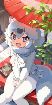 1girl :3 absurdres animal_ears baggy_pants bench blue_eyes blush bow bowtie brown_hair commission fur_collar hair_between_eyes hands_on_lap highres hondo_tanuki_(kemono_friends) kemono_friends kemono_friends_3 koutsuu_(koutuukanseikan) long_sleeves looking_at_viewer looking_up multicolored_hair open_mouth pants parasol pixiv_commission puffy_sleeves raccoon_ears raccoon_girl raccoon_tail sailor_collar short_hair sidelocks sitting smile solo sweater tail two-tone_hair umbrella white_bow white_bowtie white_fur white_hair white_pants white_sweater